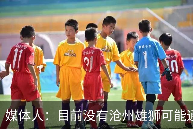 媒体人：目前没有沧州雄狮可能通过准入的消息